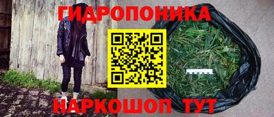 индика Кинель