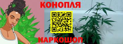 индика Кинель