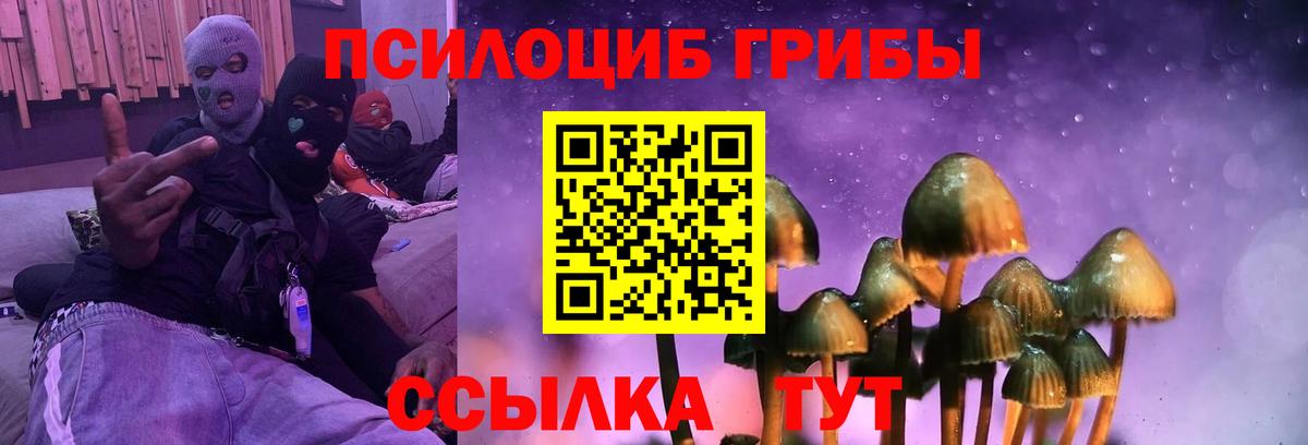 Хабаровск  как найти закладки  Вход с VPN  Галлюциногенные грибы мицелий 